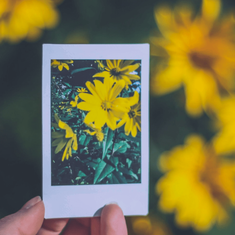 Embrace the current season you're in.