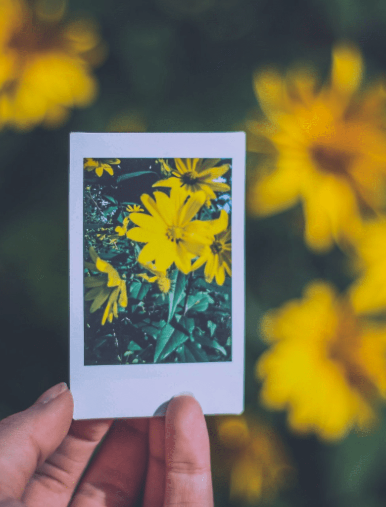 Embrace the current season you're in.