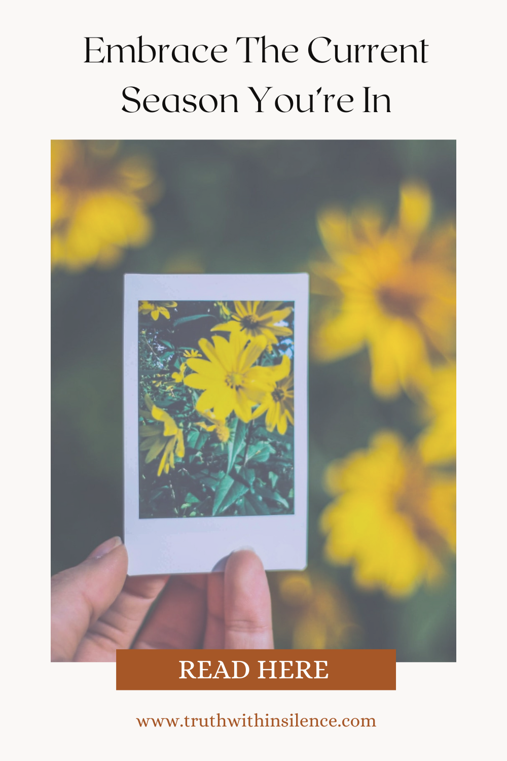 Embrace the current season you're in