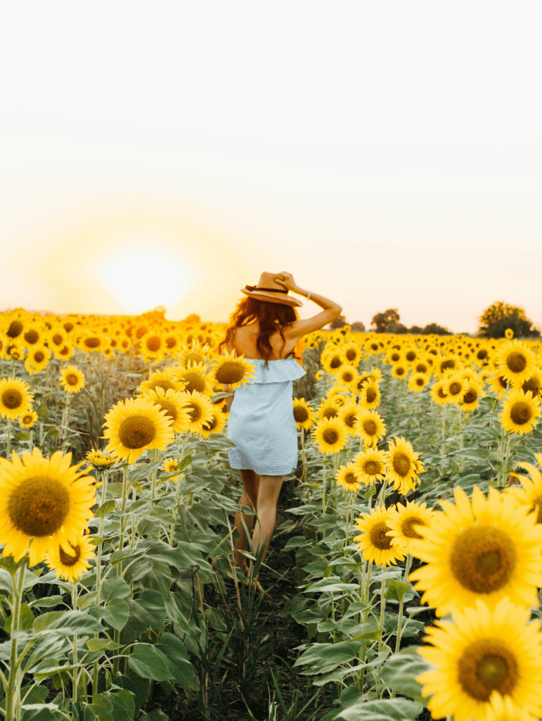How to practice mindfulness in your life