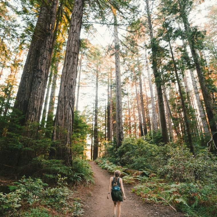 How to Trust Your Path When Life Doesn’t Go As Planned