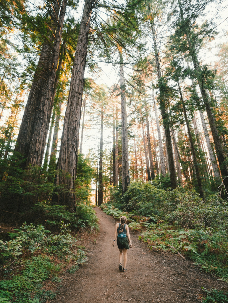 How to Trust Your Path When Life Doesn’t Go As Planned