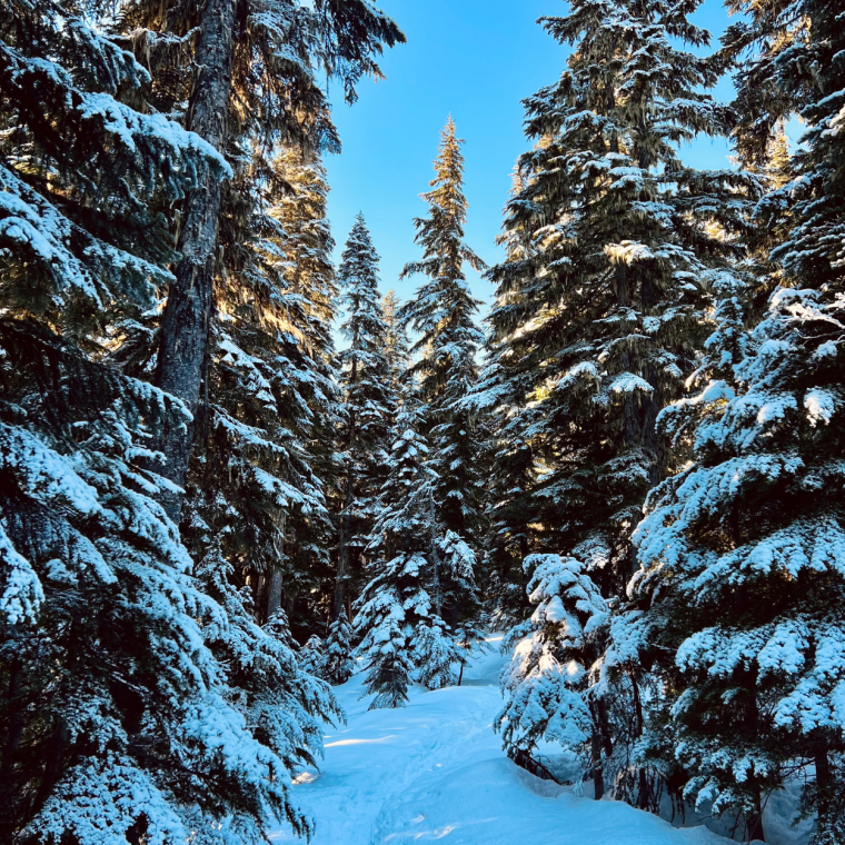 12 winter self-care ideas to help you feel your best