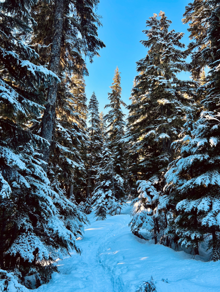 12 winter self-care ideas to help you feel your best